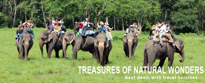 Nepal Wildlife Safari Tour Packages